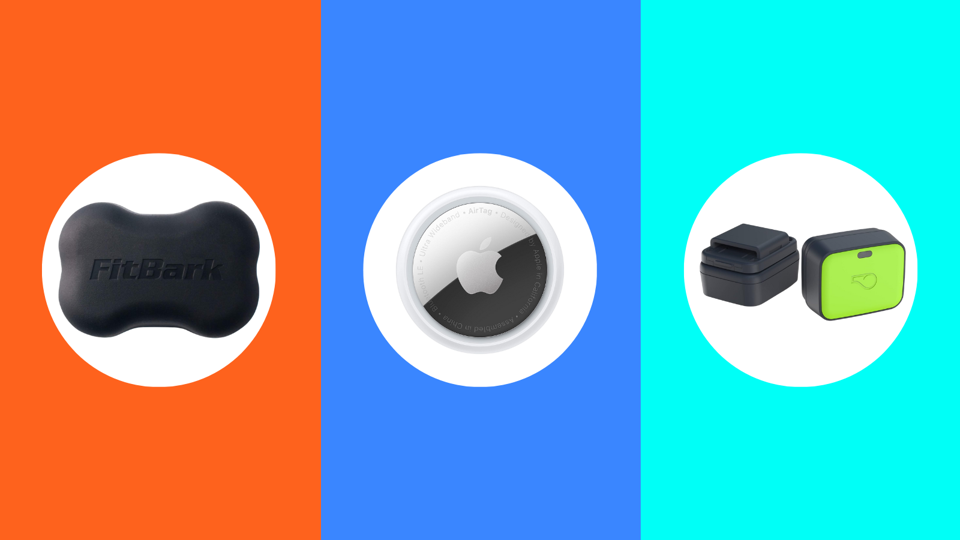 Best top pet tracker