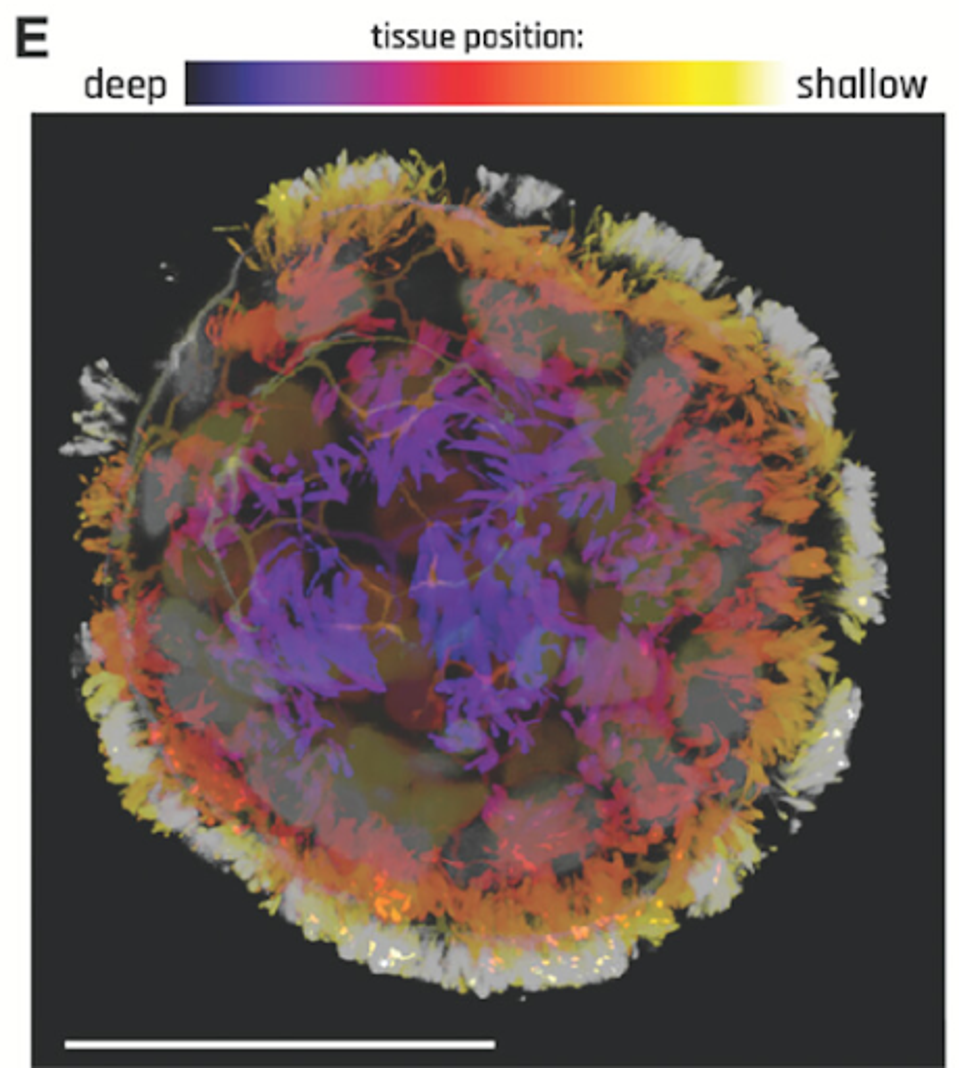 unnamed - 2023-12-22T114432.493