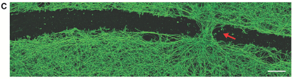 unnamed - 2023-12-22T114442.062