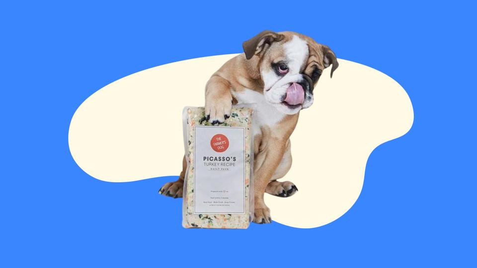 Best Dog Food Delivery Services  