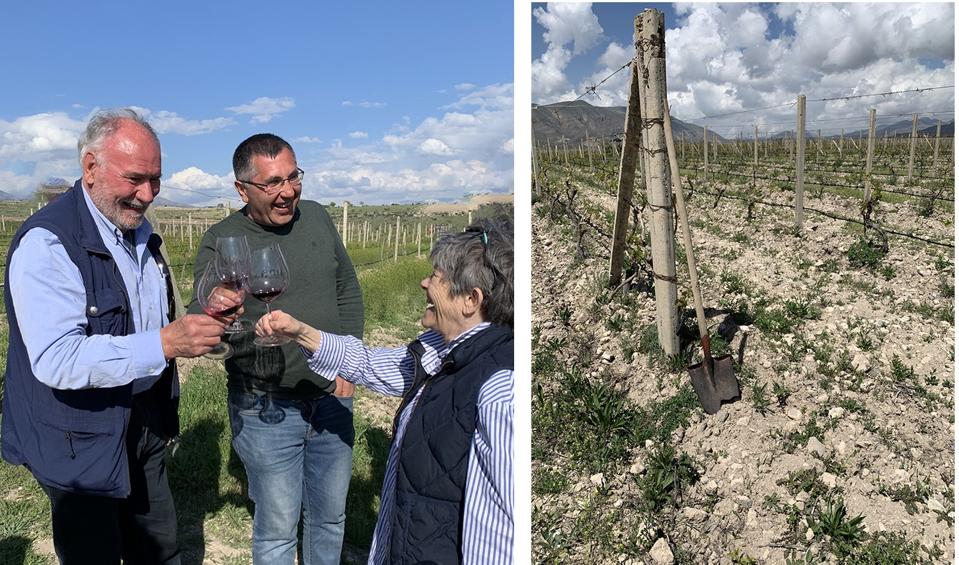 Noa is an organic winery in Armenia concerned with environmental stewardship