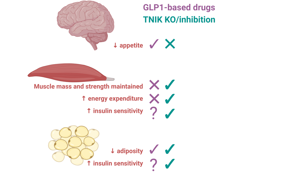 glp 1 daily pill kourtney kardashian Kourtney Kardashian Barker's Lemme Launches Weight Loss Supplement GLP-1  Daily