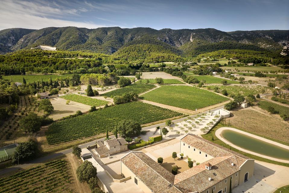 ridley scott wine mas des infermieres vineyard