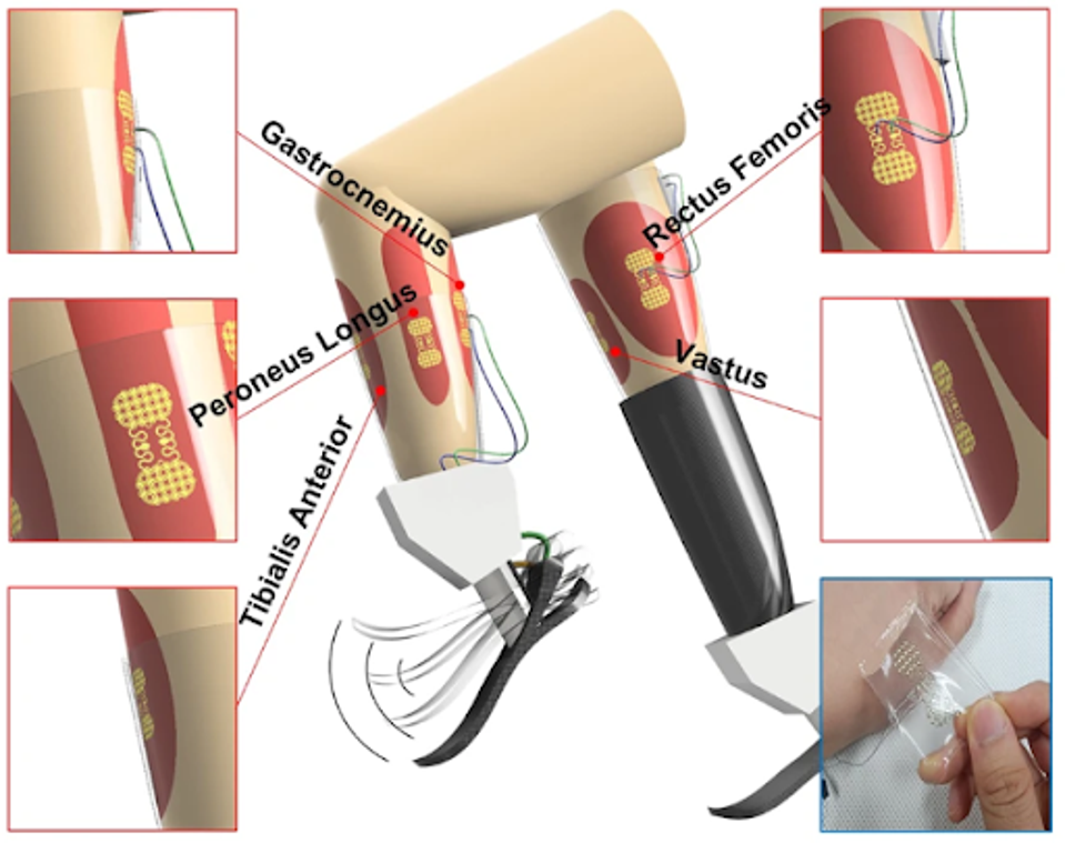 unnamed - 2024-01-05T140211.815