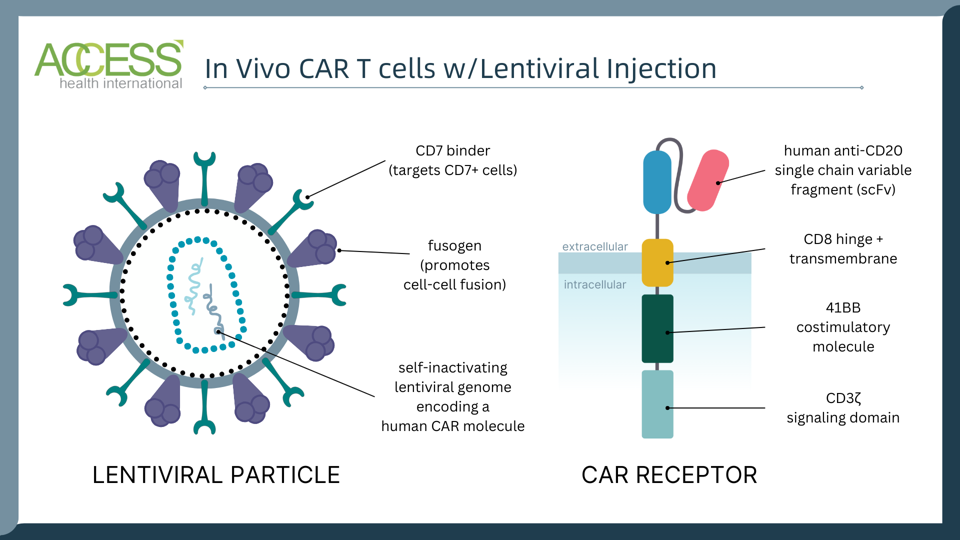 in Vivo CAR T receptor w Viral Injection