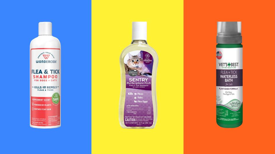 Best Flea Shampoo for Cats: Top Picks for Itch-Free Fur