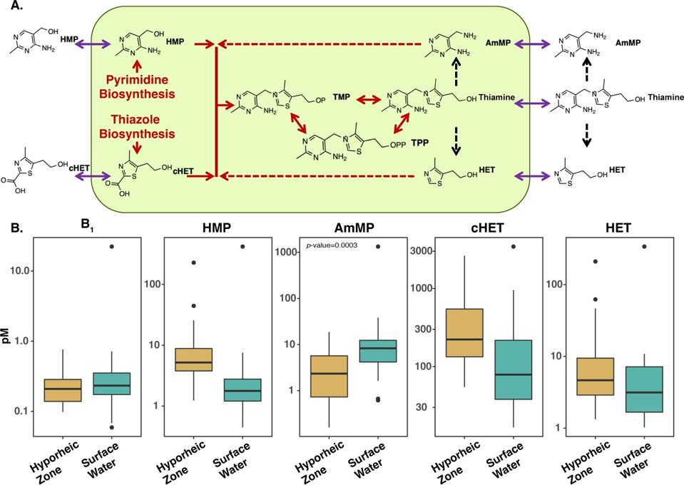 figure 2 doi:10.1128/aem.01760-23