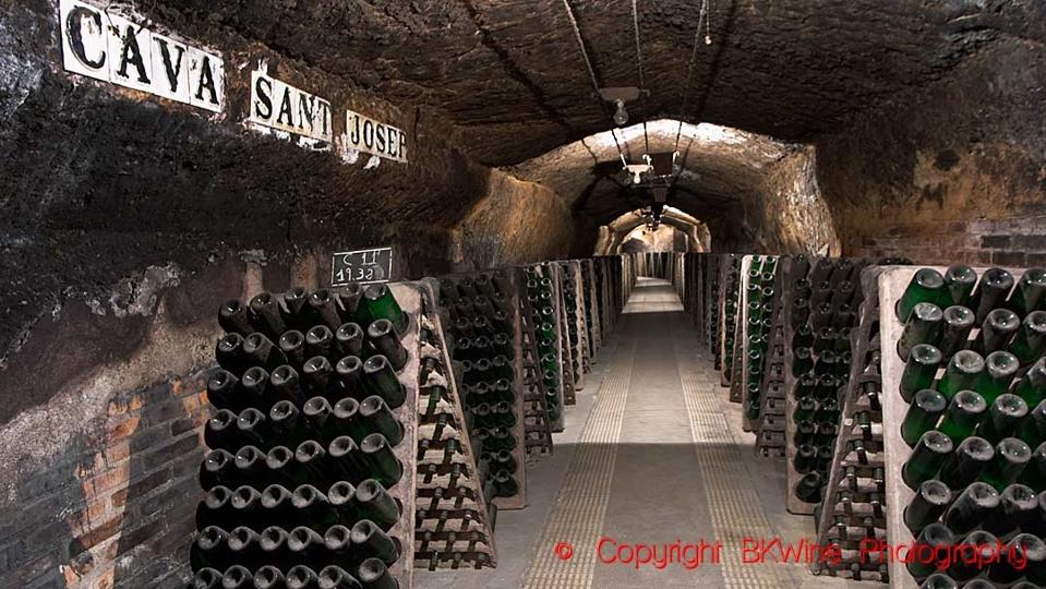 A wine cellar stocked high with ageing bottles of cava