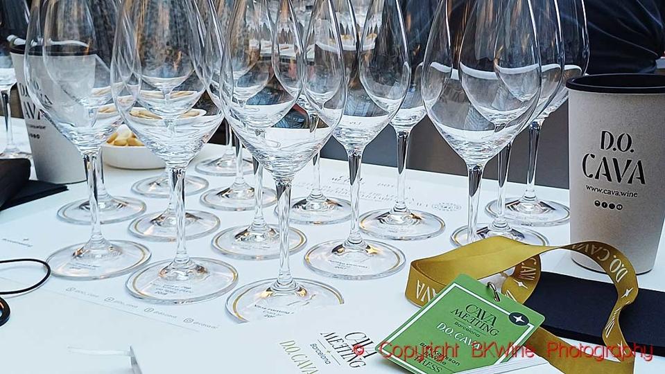 Preparing to taste wines at the Cava Meeting Conference