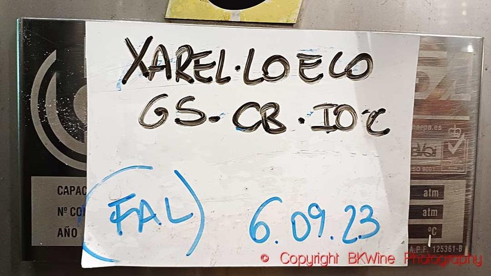 Xarel-lo in a tank in a winery in Catalonia