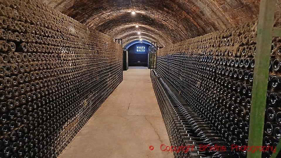 A wine cellar stocked high with ageing bottles of cava