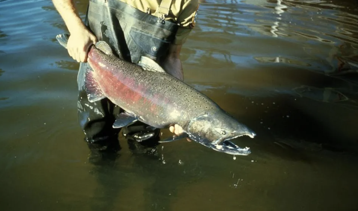 Screenshot 2024-01-18 at 3.40.05 PM