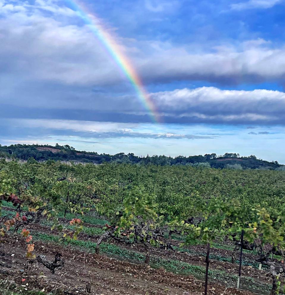 Domaine Les Païssels