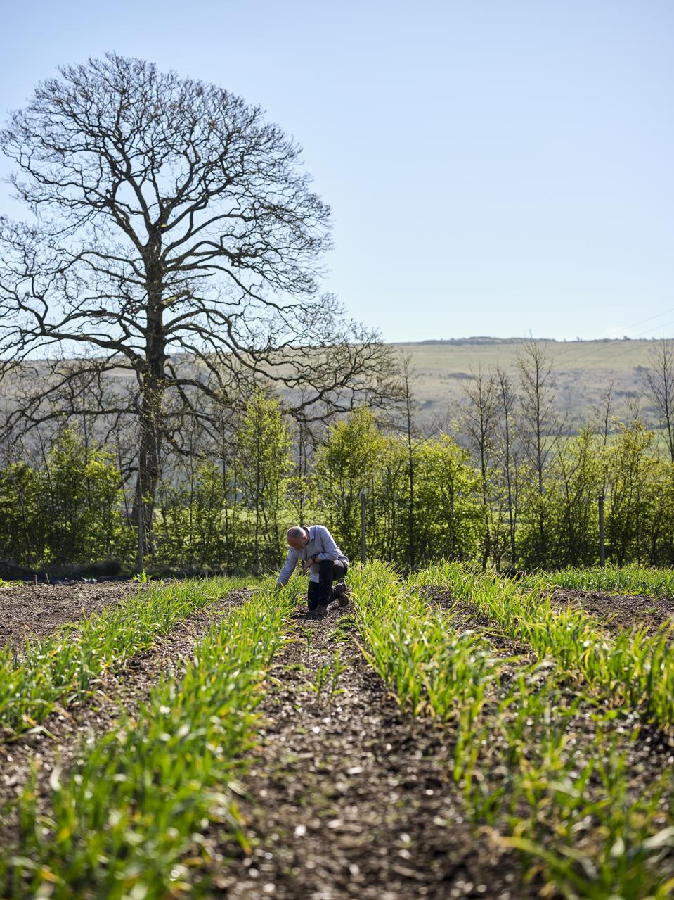 cartmel our farm