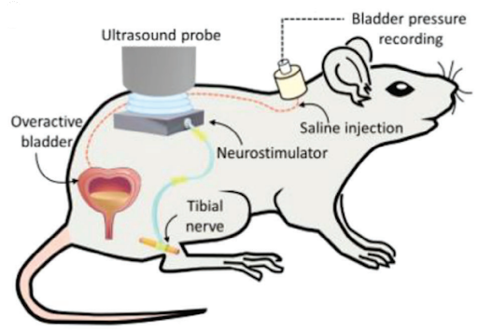 unnamed - 2024-01-23T122527.695