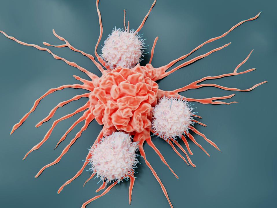 Natural killer cells attacking a cancer cell