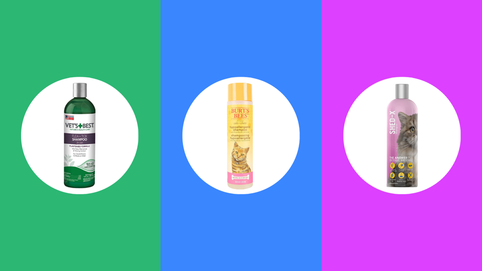 Best Cat Shampoos 2024 Forbes Vetted