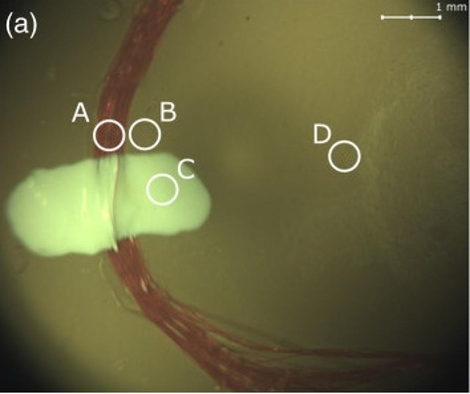 The targeted spectroscopy in the OEMI-7 model