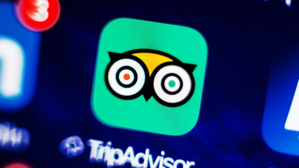Tripadvisor for sale acquisition