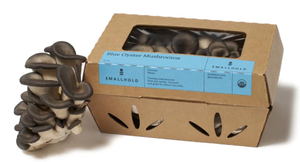 Screen Shot 2024-02-14 at 12.03.39 PM