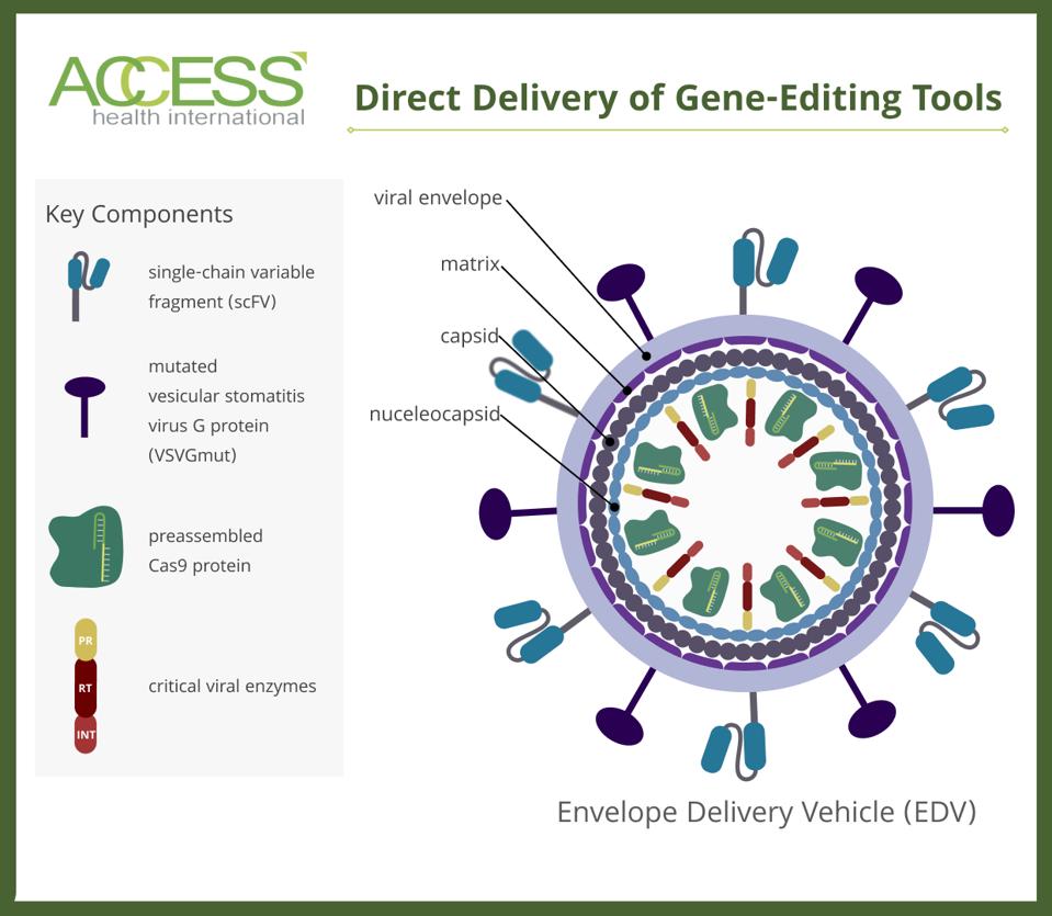 Envelope delivery vehicle schematic