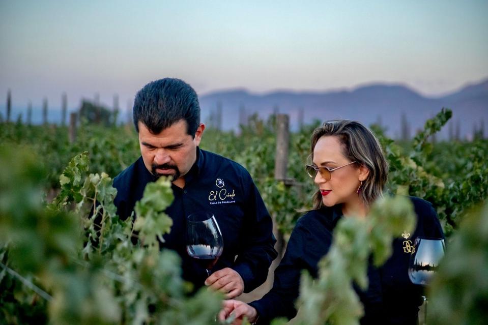 two people in a vineyard