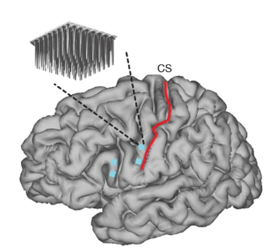 unnamed - 2024-03-04T100121.604