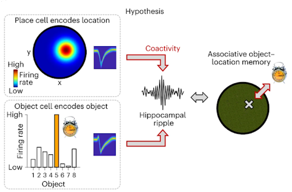 unnamed - 2024-03-06T141053.516