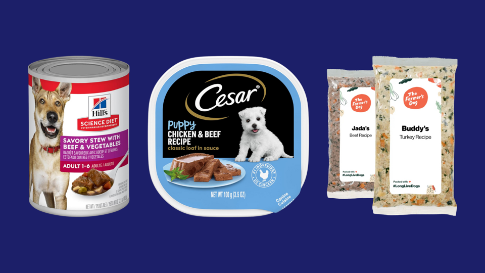 Best canned dog food for allergies clearance