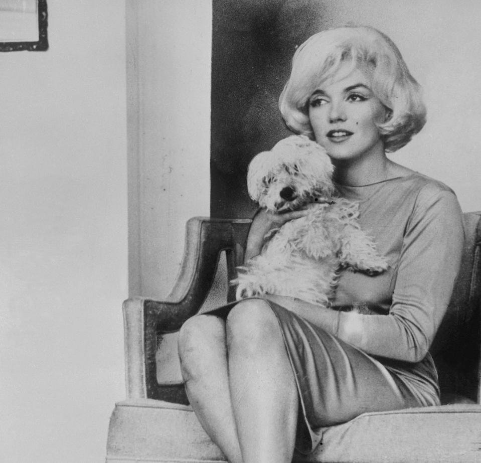 Actress Marilyn Monroe Holding Dog