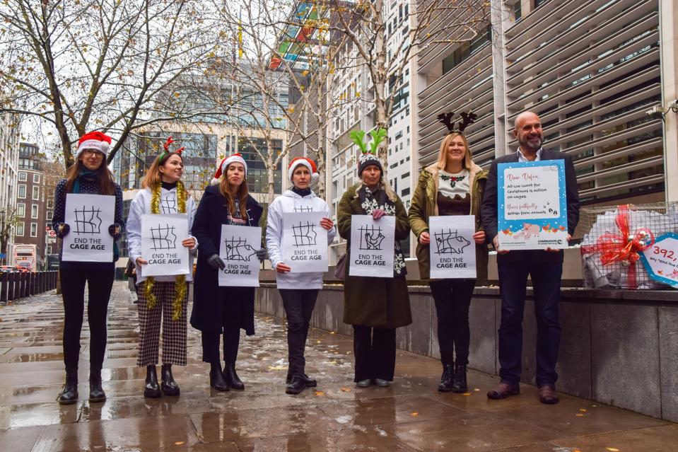 Veterinarian Dr. Marc Abraham (R) and Compassion In World...