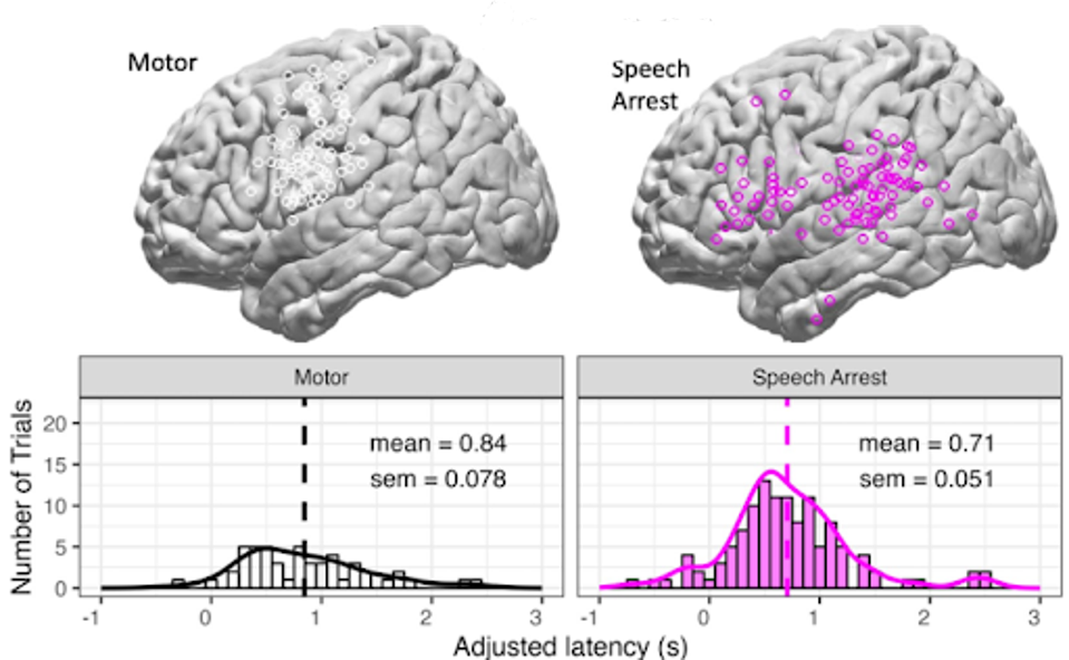unnamed - 2024-04-08T124217.761