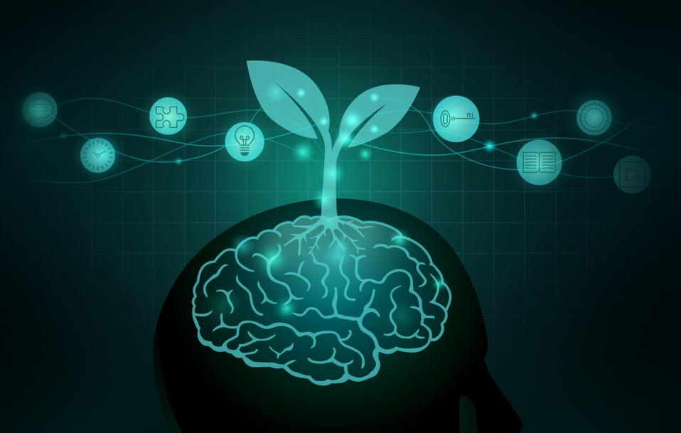 5 Key Essentials Of Adaptive Leadership