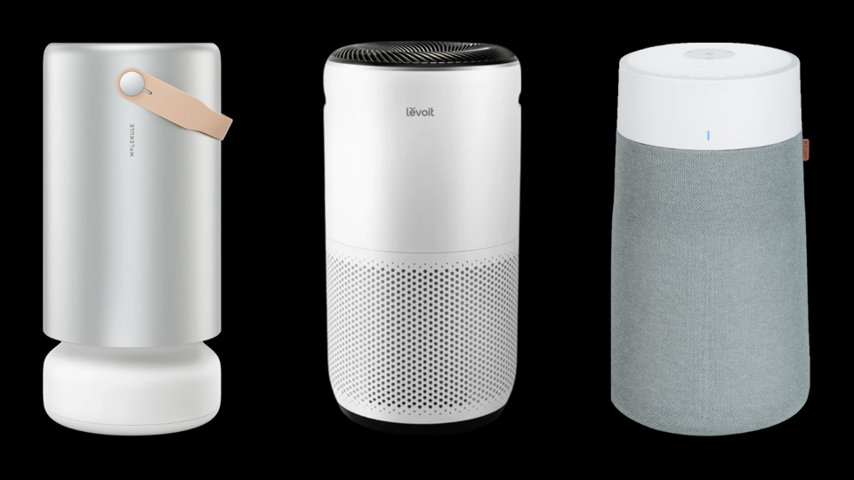 What are the Best Air Purifiers for Mold Spores in Indoor Air? Expert Picks