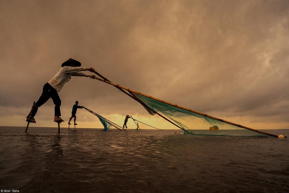 Stilt fishing in Viet Nam.