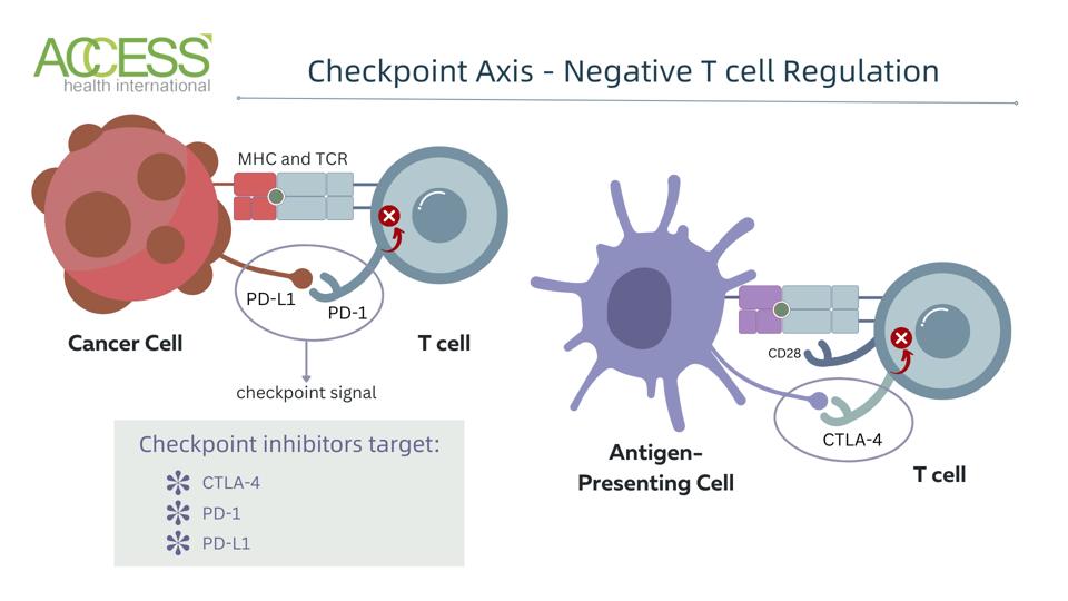 Checkpoint inhibitor axis