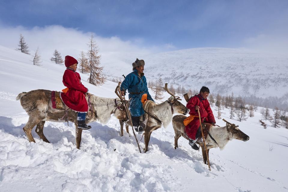 Reindeer Riders Meet The Dukha People: Mongolia’s Remote Reindeer-Riding Tribe