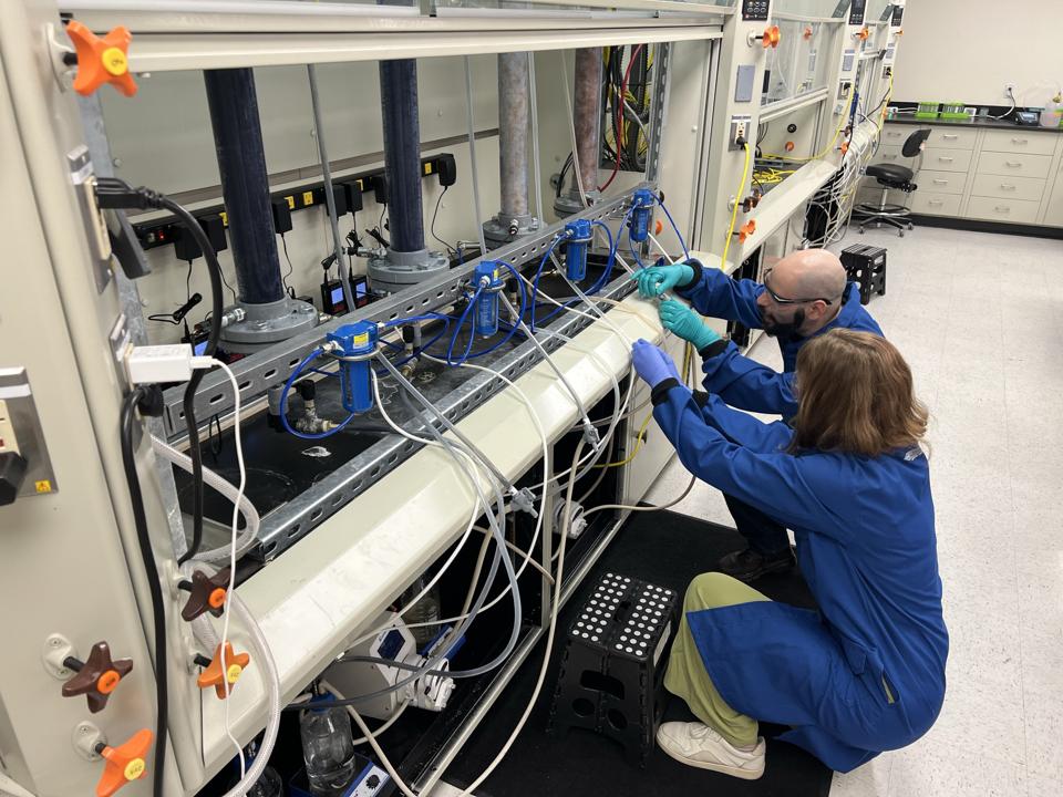 Windfall Bio fermenter work