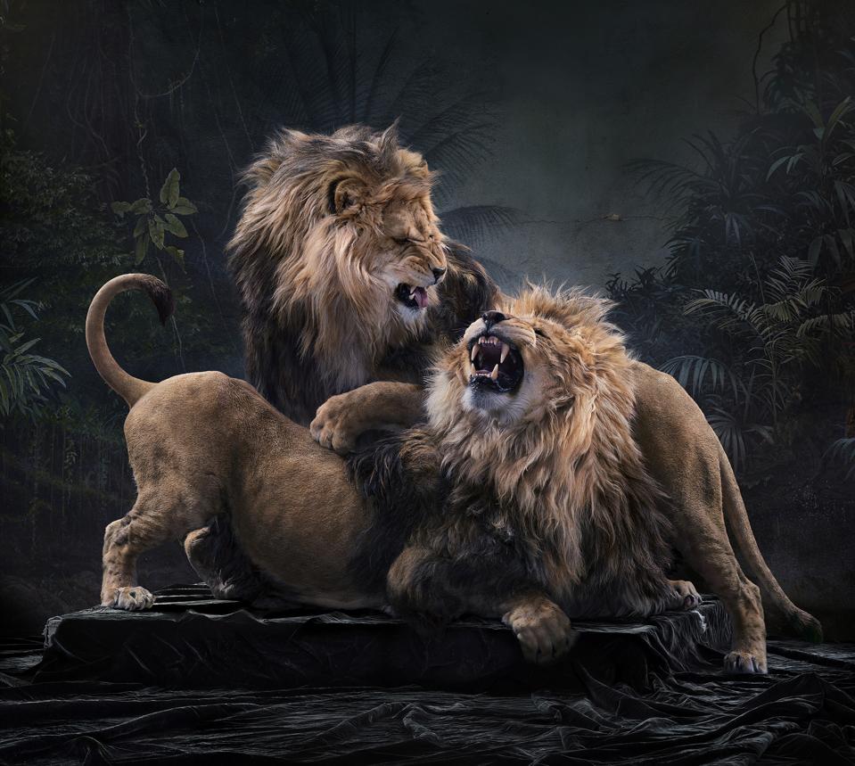 Untitled #196 by Simen Johan