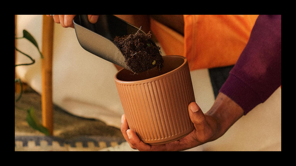 Hand scooping soil into plant pot