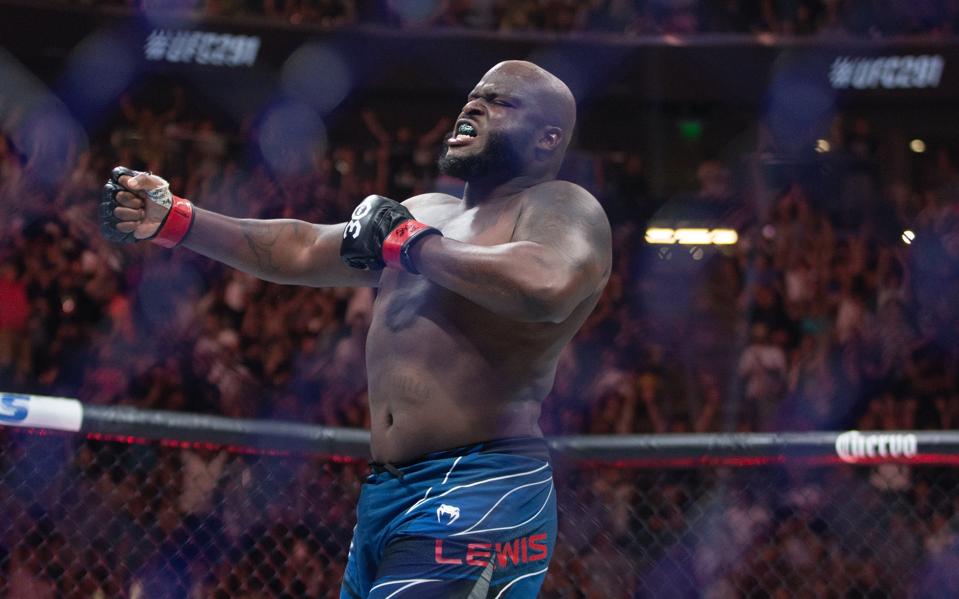 UFC St. Louis Fight Card: Date, Location And How To Watch