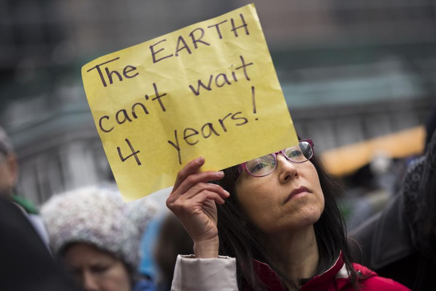 The Green Group Roadmap For Fighting Trump