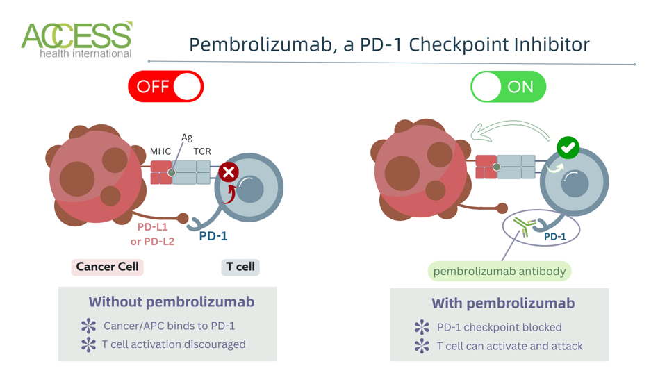 Pembrolizumab mechanism
