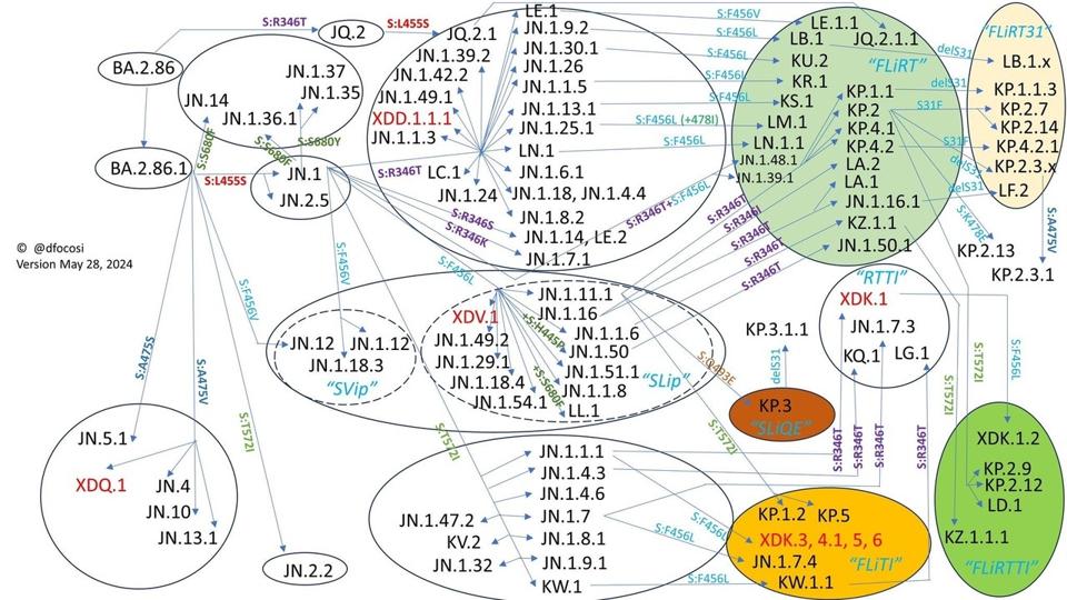 https___substack-post-media.s3.amazonaws.com_public_images_4fa12ce6-b027-4174-992c-429981ea5488_2048x1152