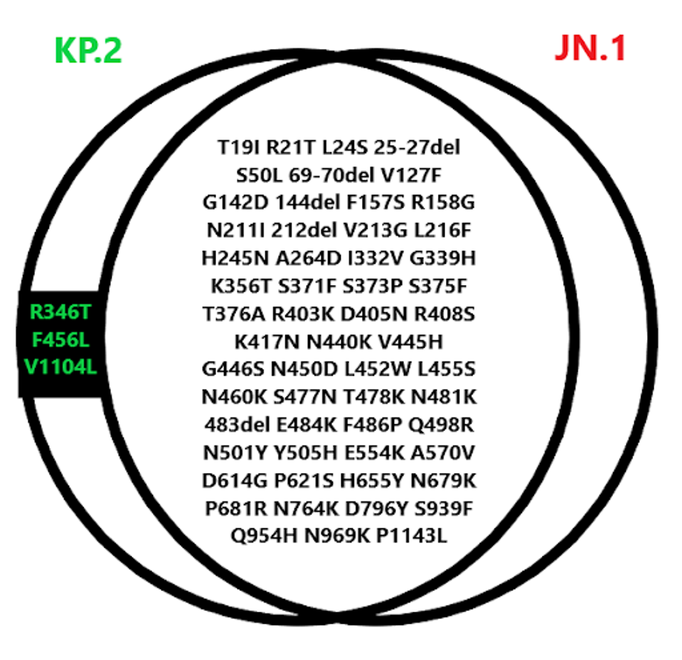 unnamed - 2024-05-31T135823.178