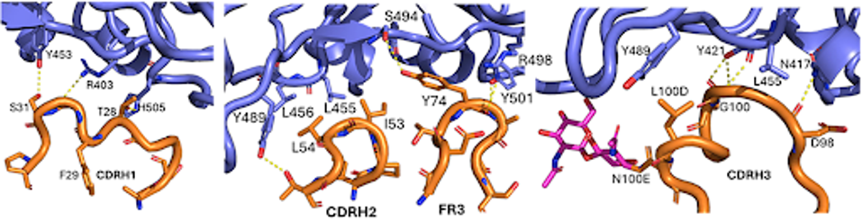 unnamed - 2024-06-07T134239.901