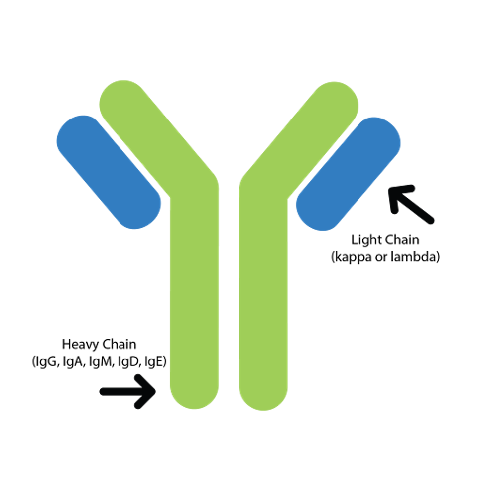 unnamed - 2024-06-07T134245.443