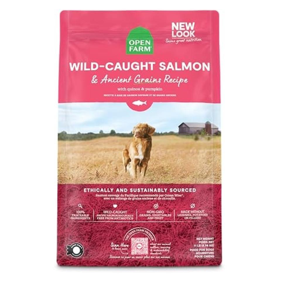 Best Dog Food That'S Affordable: Top Nutritious Picks for 2025