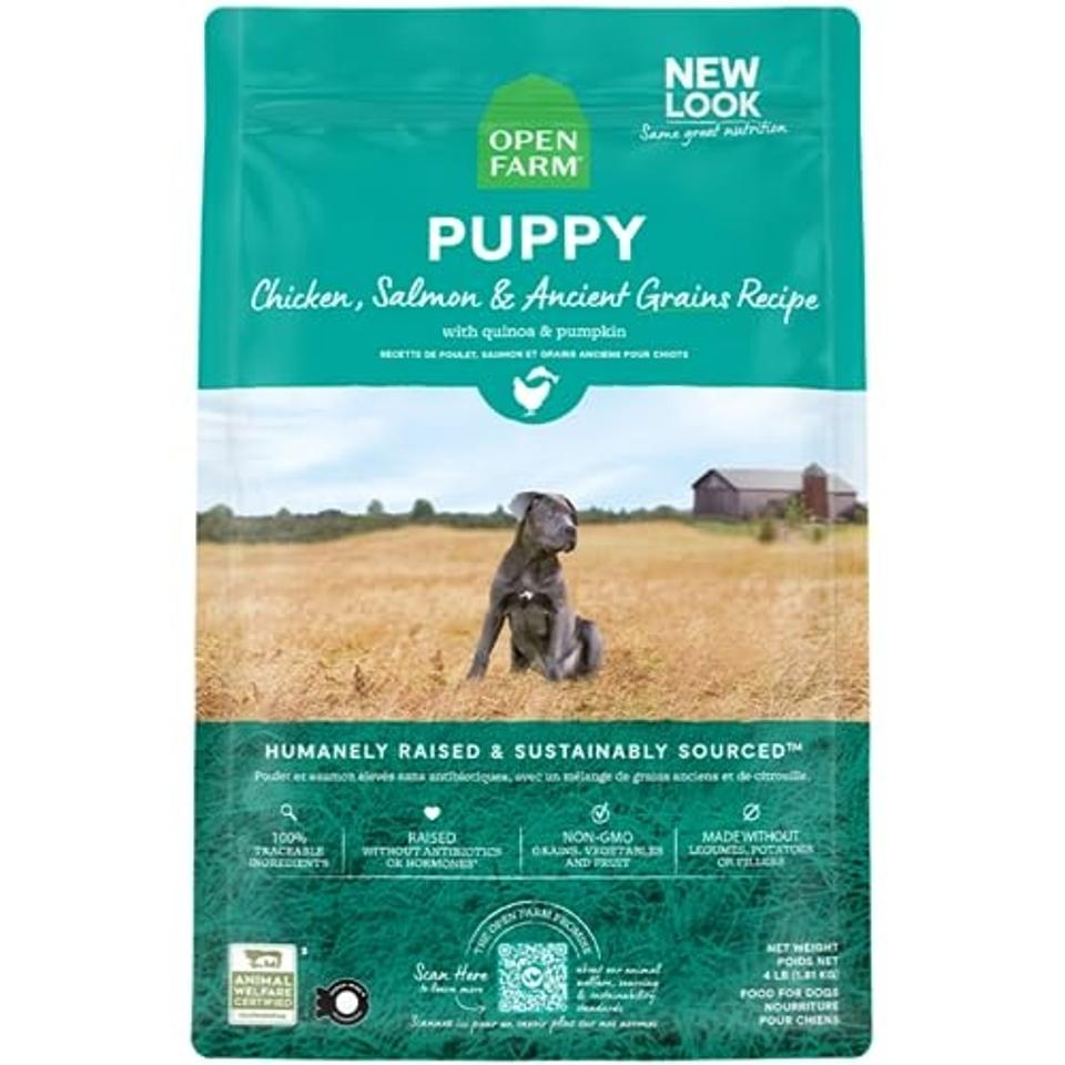 Best Dog Foods For Sensitive Stomachs 2025 Forbes Vetted