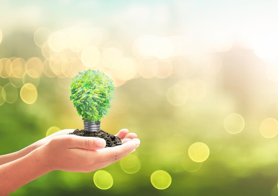 Sustainable entrepreneurship.